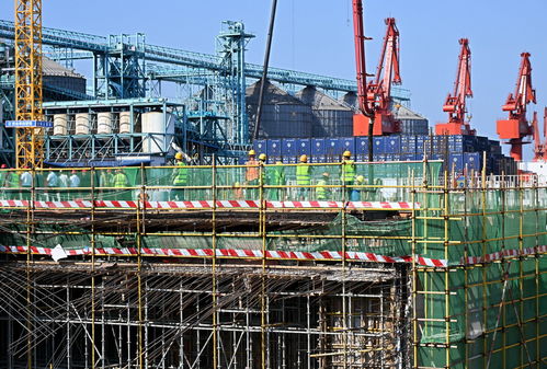 青島國(guó)際郵輪港區(qū)搶抓施工黃金期，建設(shè)按下“快進(jìn)鍵”，工程勘察穩(wěn)步推進(jìn)